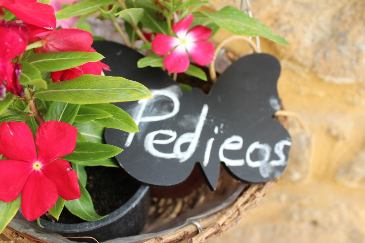 Pedieos Guest House Nikosia Eksteriør bilde